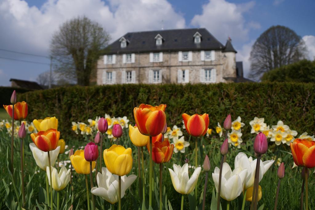 Chateau De Savennes - Caveau De Sabrage Eksteriør billede